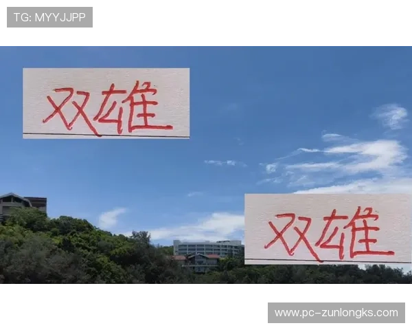 尊龙app官网入口在哪里找，官方公告和最新入口地址一览