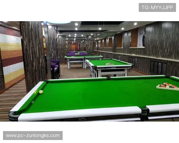 尊龙体育官方合作品牌多样化提供一站式体育娱乐服务体验